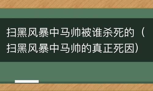 扫黑风暴中马帅被谁杀死的（扫黑风暴中马帅的真正死因）