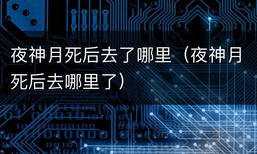 夜神月死后去了哪里（夜神月死后去哪里了）