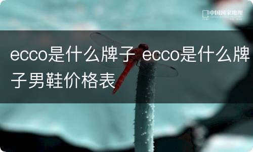 ecco是什么牌子 ecco是什么牌子男鞋价格表