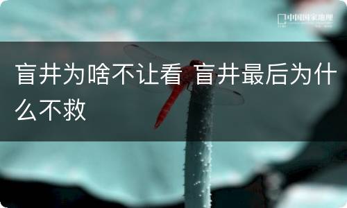 盲井为啥不让看 盲井最后为什么不救