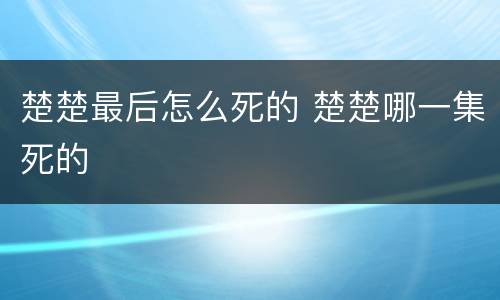 楚楚最后怎么死的 楚楚哪一集死的