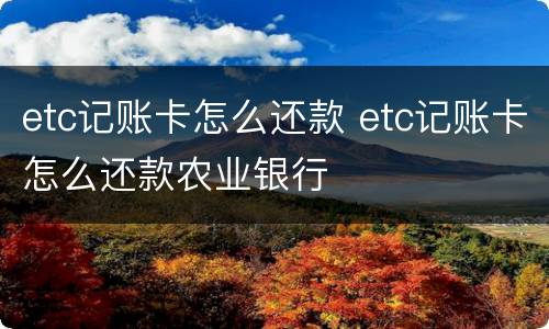 etc记账卡怎么还款 etc记账卡怎么还款农业银行