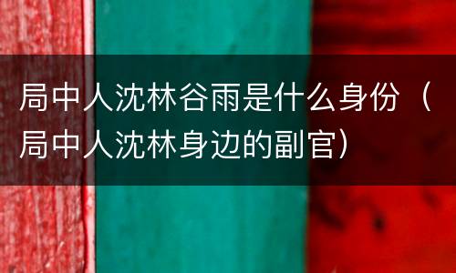 局中人沈林谷雨是什么身份（局中人沈林身边的副官）