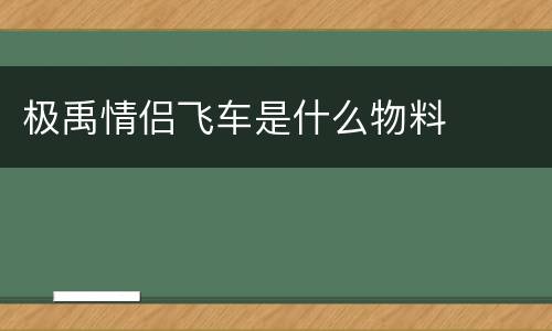 极禹情侣飞车是什么物料