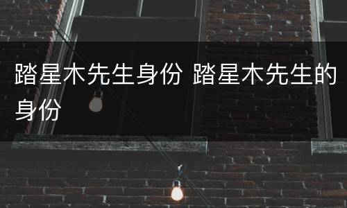 踏星木先生身份 踏星木先生的身份