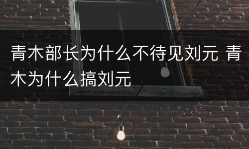 青木部长为什么不待见刘元 青木为什么搞刘元