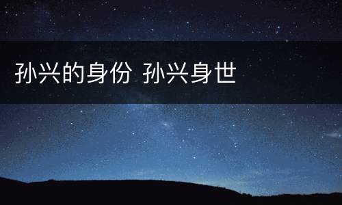 孙兴的身份 孙兴身世