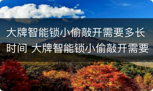 大牌智能锁小偷敲开需要多长时间 大牌智能锁小偷敲开需要多长时间解锁