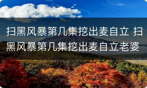 扫黑风暴第几集挖出麦自立 扫黑风暴第几集挖出麦自立老婆