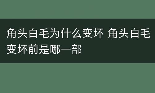 角头白毛为什么变坏 角头白毛变坏前是哪一部