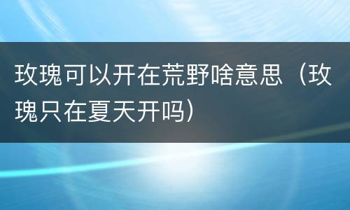 玫瑰可以开在荒野啥意思（玫瑰只在夏天开吗）