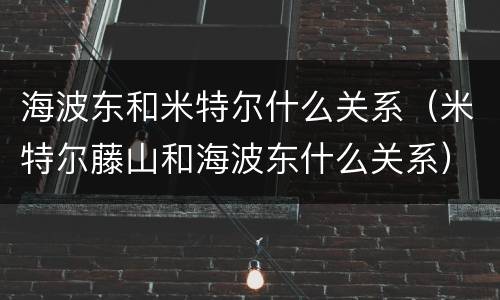 海波东和米特尔什么关系（米特尔藤山和海波东什么关系）