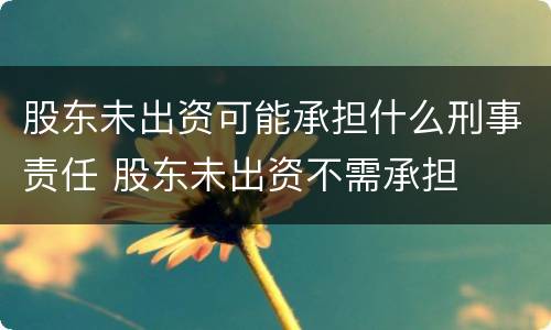 股东未出资可能承担什么刑事责任 股东未出资不需承担