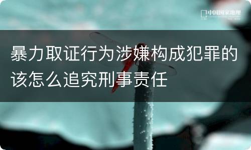 暴力取证行为涉嫌构成犯罪的该怎么追究刑事责任