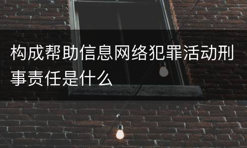 构成帮助信息网络犯罪活动刑事责任是什么