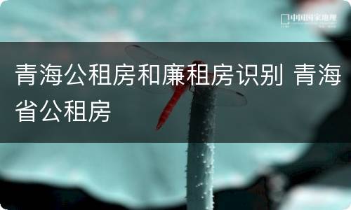 青海公租房和廉租房识别 青海省公租房