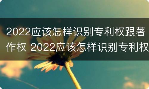 2022应该怎样识别专利权跟著作权 2022应该怎样识别专利权跟著作权的区别