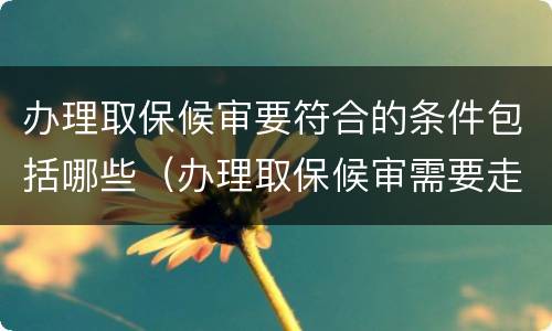 办理取保候审要符合的条件包括哪些（办理取保候审需要走什么程序）