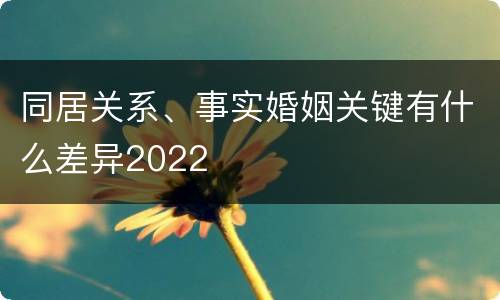 同居关系、事实婚姻关键有什么差异2022