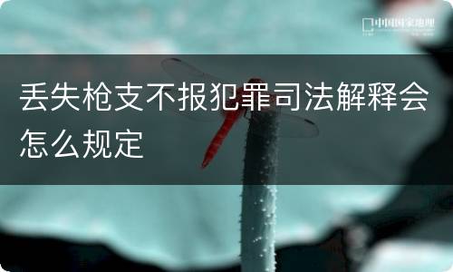 丢失枪支不报犯罪司法解释会怎么规定