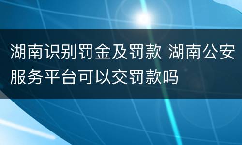 湖南识别罚金及罚款 湖南公安服务平台可以交罚款吗