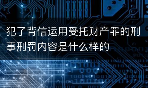 犯了背信运用受托财产罪的刑事刑罚内容是什么样的