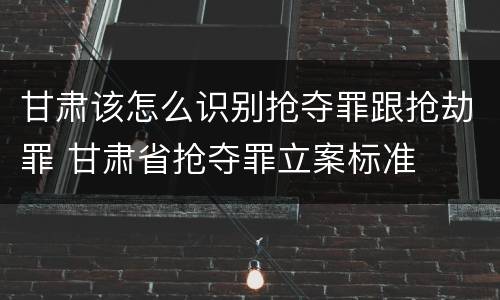 甘肃该怎么识别抢夺罪跟抢劫罪 甘肃省抢夺罪立案标准