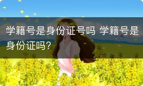 学籍号是身份证号吗 学籍号是身份证吗?