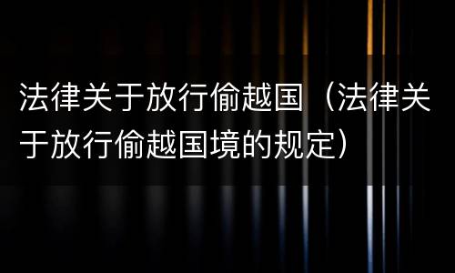 法律关于放行偷越国（法律关于放行偷越国境的规定）