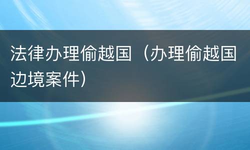 法律办理偷越国（办理偷越国边境案件）