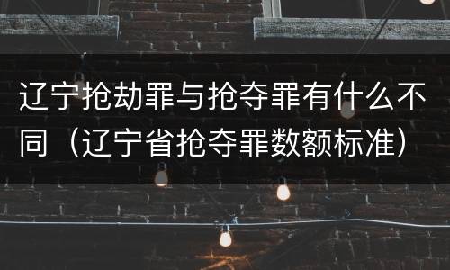 辽宁抢劫罪与抢夺罪有什么不同（辽宁省抢夺罪数额标准）