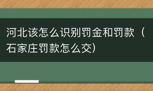 河北该怎么识别罚金和罚款（石家庄罚款怎么交）