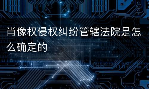 肖像权侵权纠纷管辖法院是怎么确定的