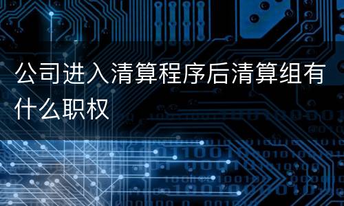 公司进入清算程序后清算组有什么职权