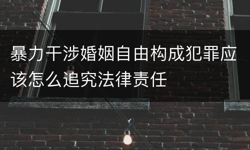 暴力干涉婚姻自由构成犯罪应该怎么追究法律责任