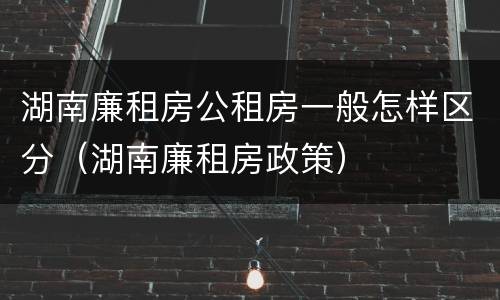 湖南廉租房公租房一般怎样区分（湖南廉租房政策）