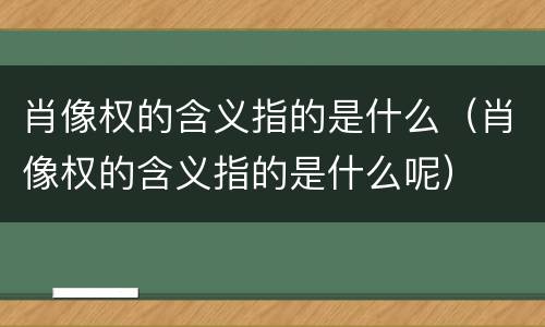 肖像权的含义指的是什么（肖像权的含义指的是什么呢）