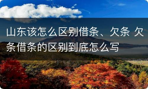 山东该怎么区别借条、欠条 欠条借条的区别到底怎么写