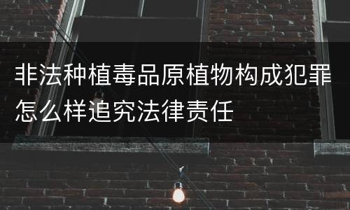 非法种植毒品原植物构成犯罪怎么样追究法律责任