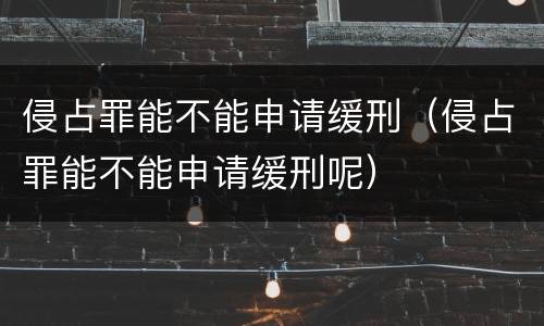 侵占罪能不能申请缓刑（侵占罪能不能申请缓刑呢）