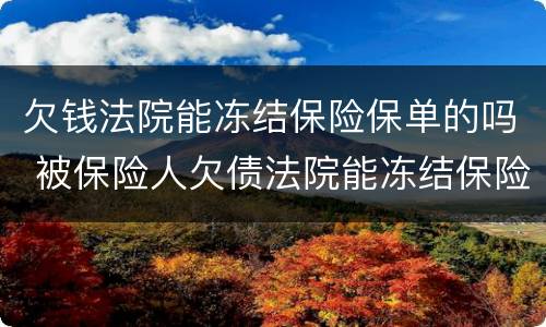 欠钱法院能冻结保险保单的吗 被保险人欠债法院能冻结保险人的保单吗?