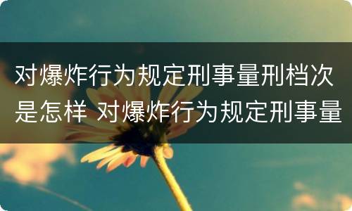 对爆炸行为规定刑事量刑档次是怎样 对爆炸行为规定刑事量刑档次是怎样的