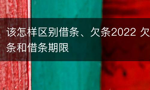 该怎样区别借条、欠条2022 欠条和借条期限