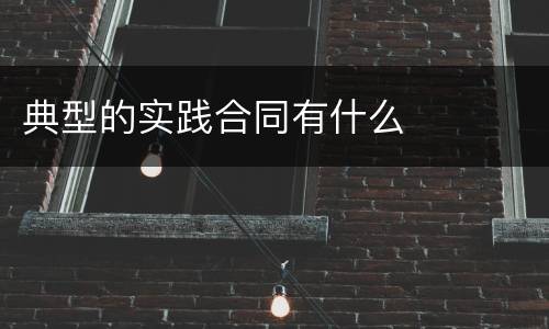 典型的实践合同有什么