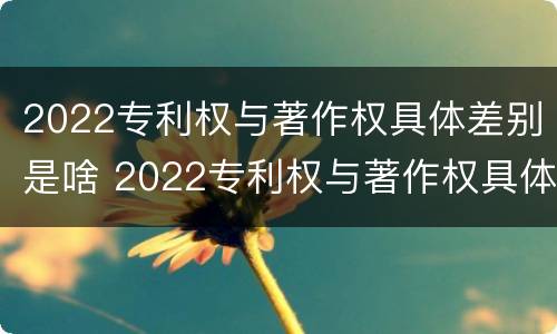 2022专利权与著作权具体差别是啥 2022专利权与著作权具体差别是啥呀