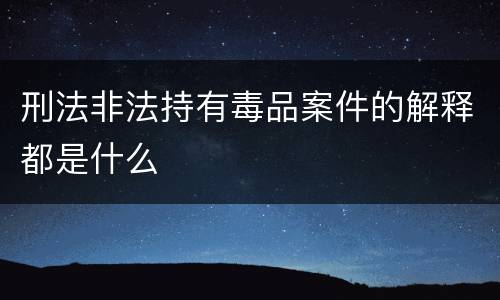 刑法非法持有毒品案件的解释都是什么