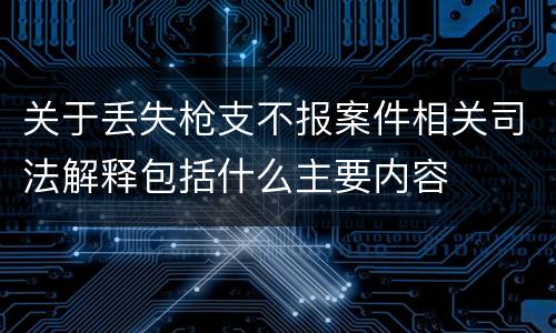 关于丢失枪支不报案件相关司法解释包括什么主要内容