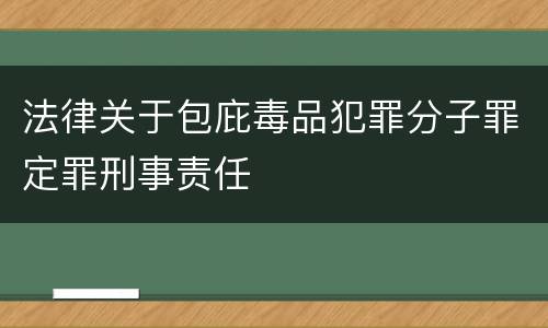 法律关于包庇毒品犯罪分子罪定罪刑事责任