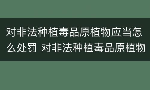 对非法种植毒品原植物应当怎么处罚 对非法种植毒品原植物应当怎么处罚呢